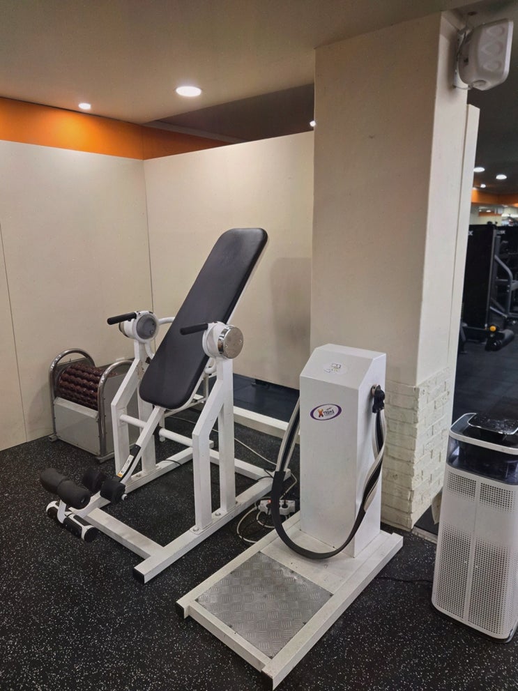 [헬스리뷰] 디엔엠 헬스&PT 교문본점, 효율적인 운동을 위한 구리 헬스장