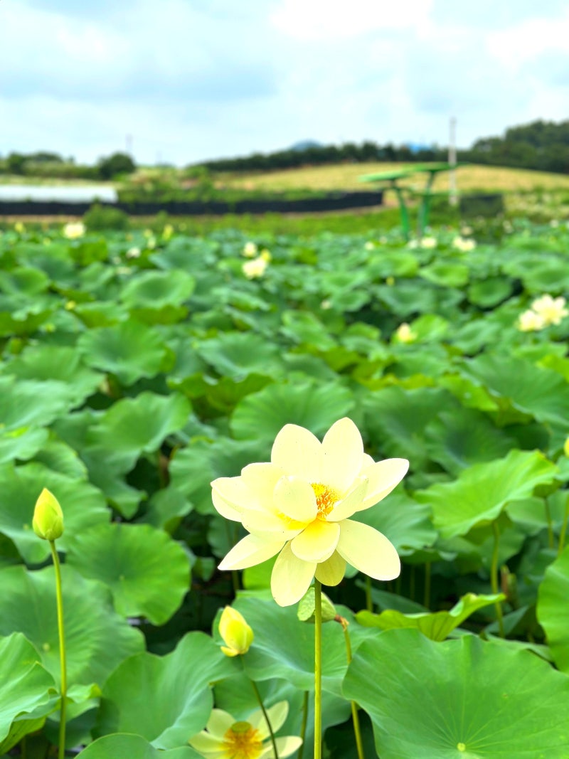 사진 6