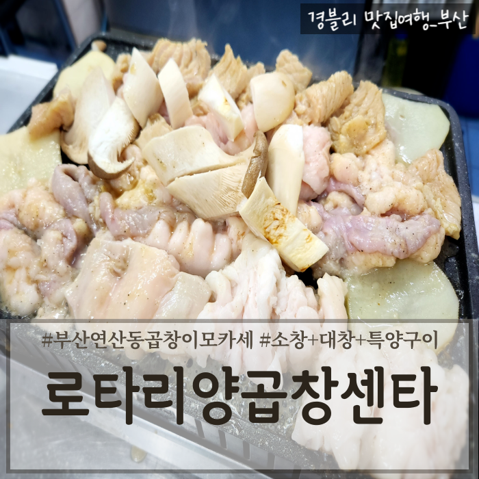  부산연산동맛집 양곱창이모카세 연산동노포맛집 '로타리양곱창센타 1번'