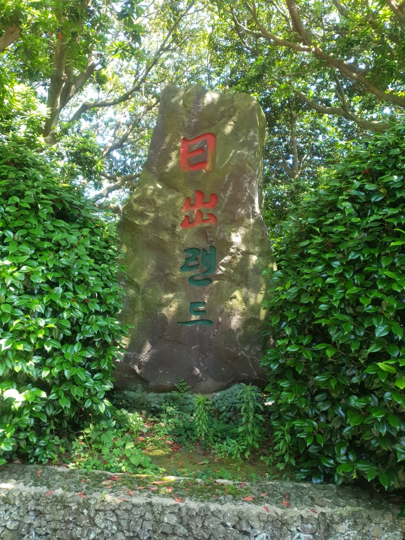 사진 6