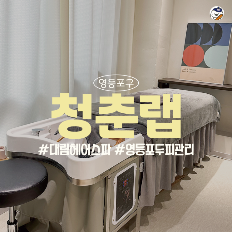  [서울/영등포구] 두피 건강은 물론 스트레스까지 날려주는 '청춘랩' (대림두피관리 | 헤드스파 | 프라이빗 공간)