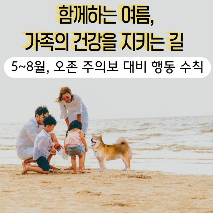  우리 가족, 그리고 강아지까지 안전하게! 오존주의보 행동수칙 정리