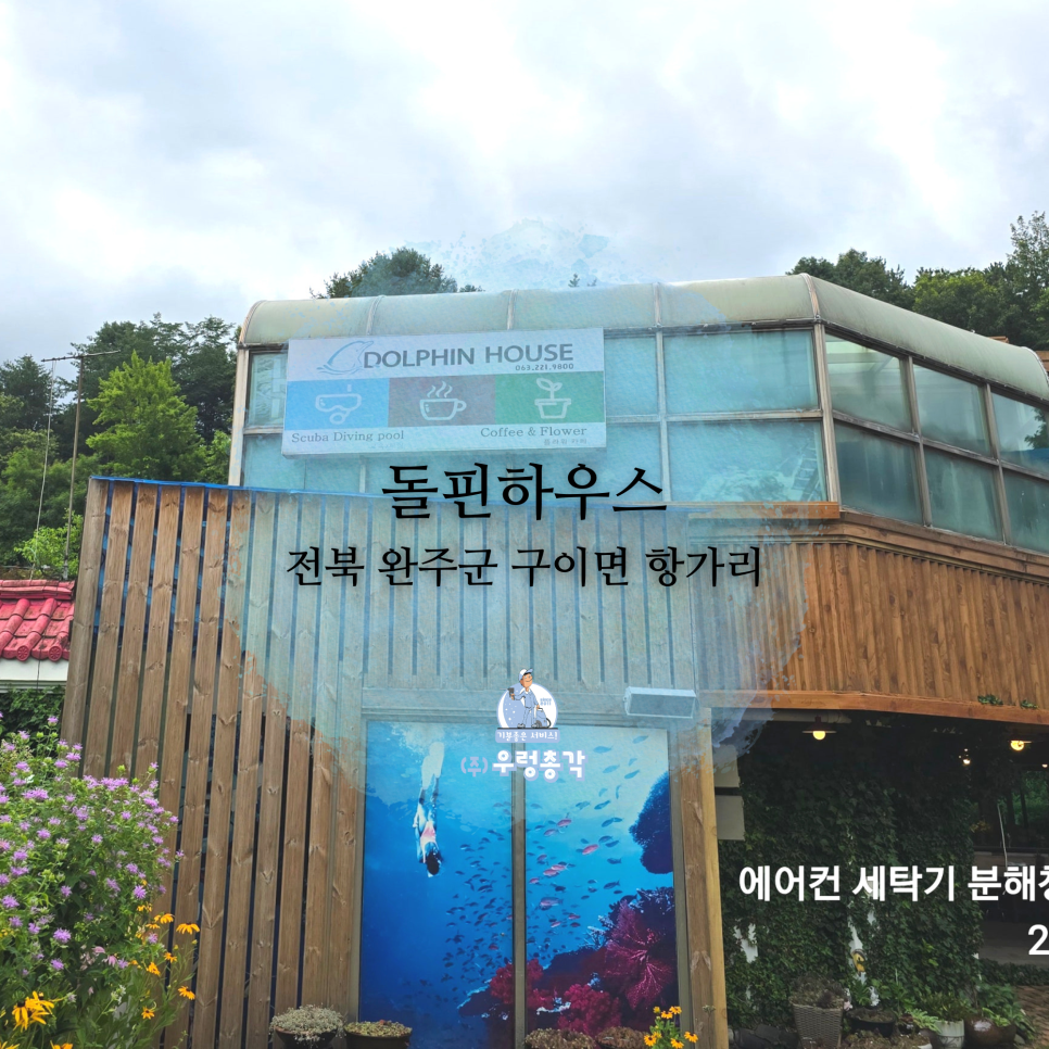 돌핀하우스 사진 1