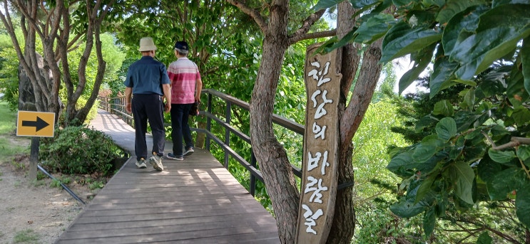 <b>옥천</b>투어(25.6.30~7.2) 기록
