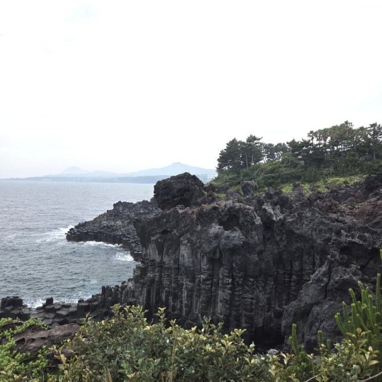  [제주일기] 시간과 자연이 만들어낸 박물관 <대포 주상절리대>