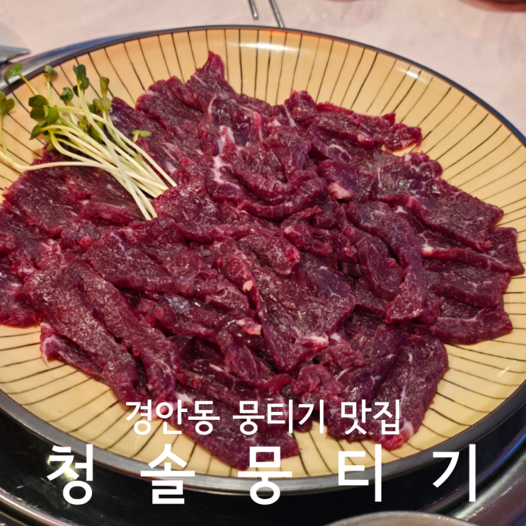  경기광주고기집 청솔뭉티기 대존맛 한우 뭉티기 육사시미 육회 맛집