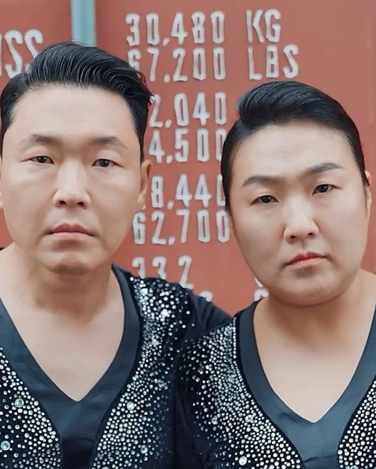 싸이X이수지, '도플갱어' 만남 성사! 흠뻑쇼 영상서 완벽 혼동 유발 "야바위냐고"