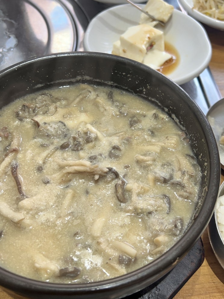  [서울 성수] 풍자 또간집 출연 서울숲 건강한 버섯 전골 맛집 내돈내산 솔직 후기 | 버섯집
