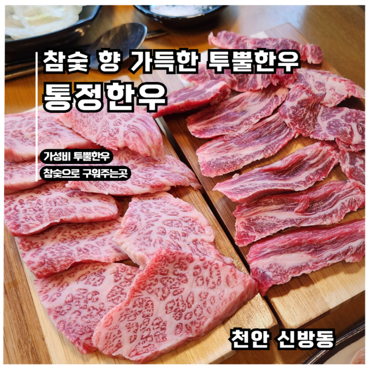  [신방동 소고기 맛집] 통정한우 참숯 향 가득한  투뿔 한우 저녁 식사 후기