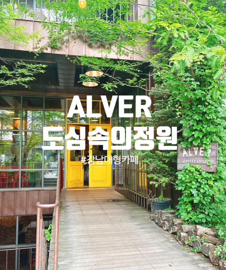  강남역 감성카페 추천 10년 단골 알베르에서 또 힐링하고 왔어요