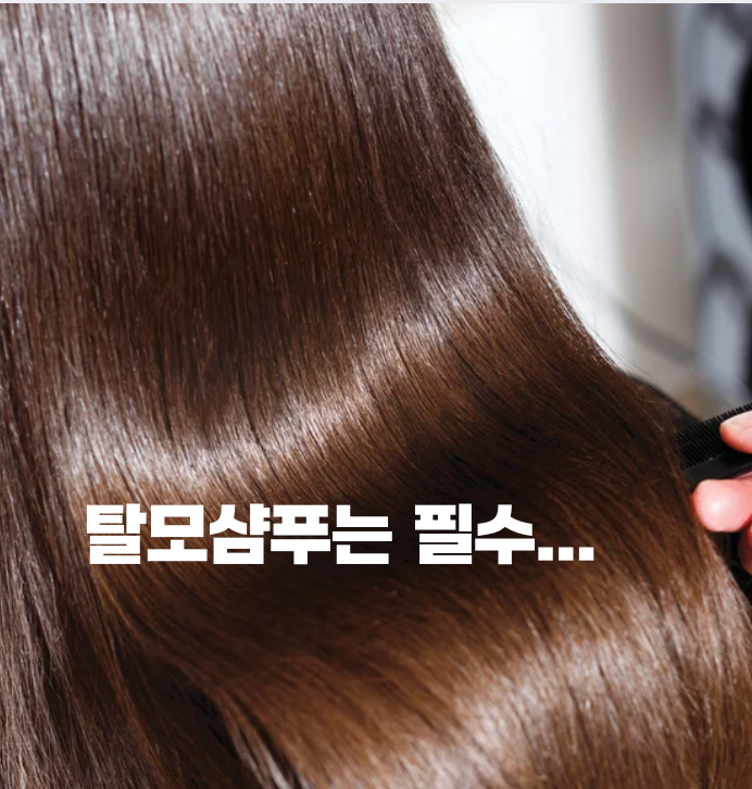탈모샴푸 메르헨트 맥주효모 샴푸 사용 후기
