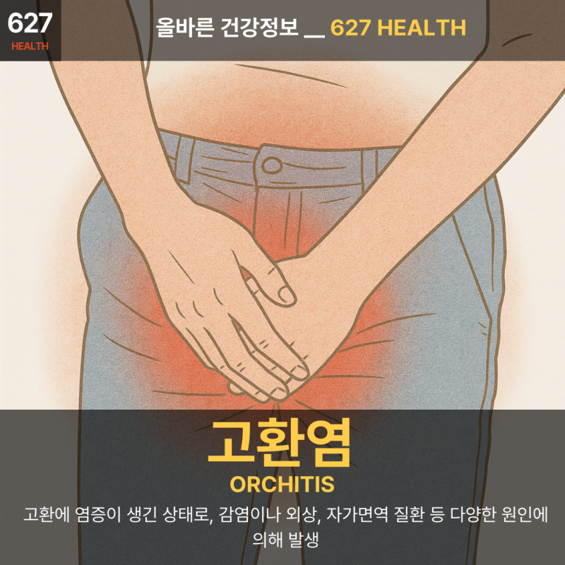 고환염 Orchitis _ 남성 생식의 위기, 통증으로 말하는 몸의 경고