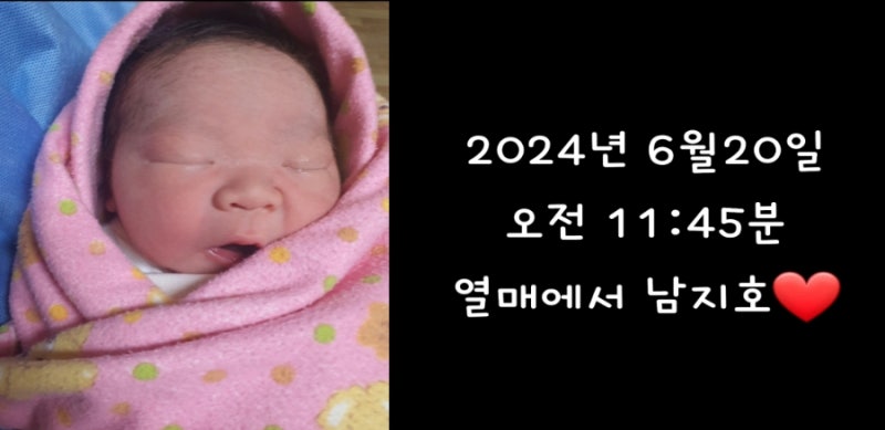 엄마표성장동영상 ,VLLO어플, 첫째둘째 다 셀프로 만들었어요