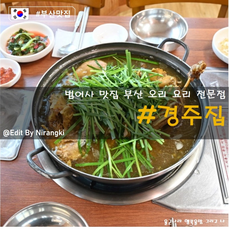 사진 6