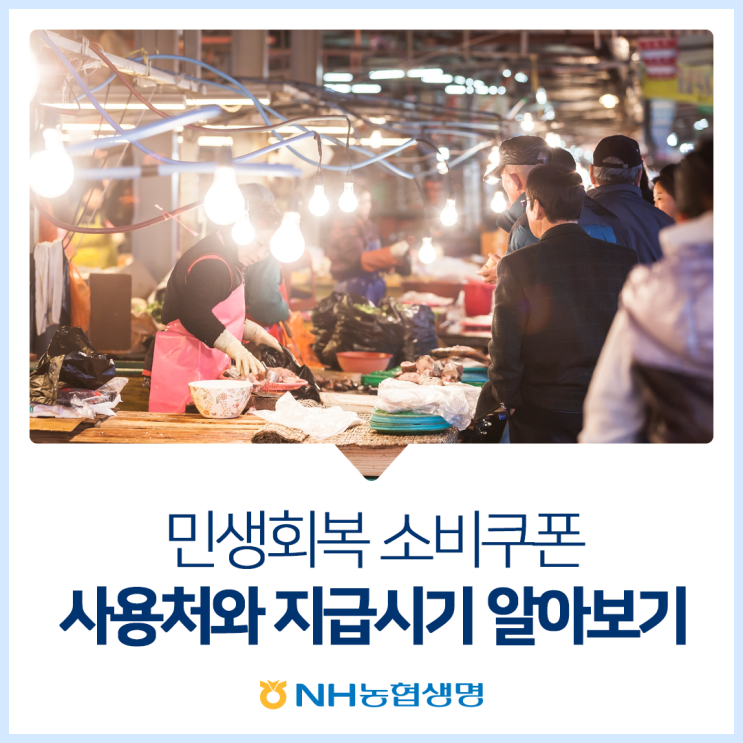 <b>민생회복 소비쿠폰</b> 사용처와 금액, <b>지급</b>시기 알아보기
