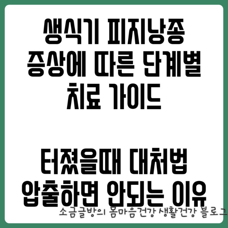 생식기 피지낭종 증상 원인 치료 주의사항