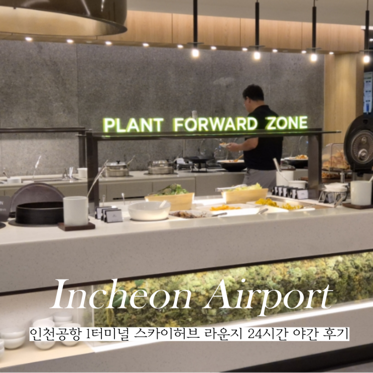  인천공항 1터미널 스카이허브 라운지 이용권 야간 방문 후기