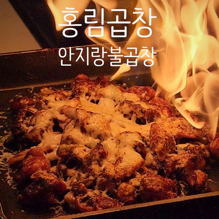  안지랑 곱창 1번집 홍림곱창에서 치즈불곱창 맛보세요!