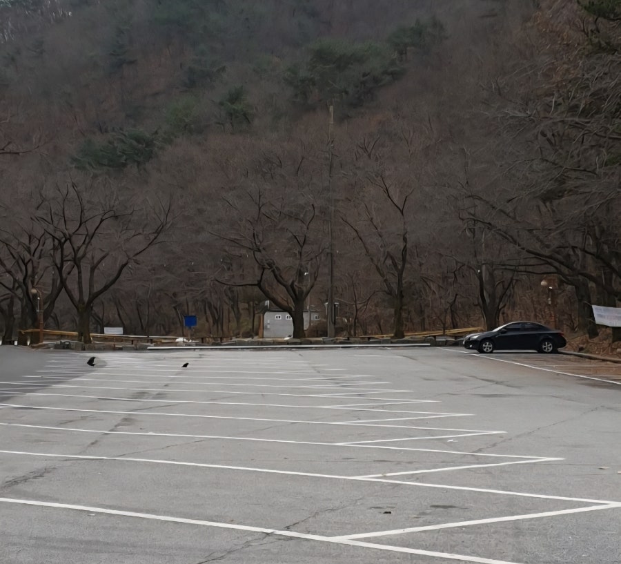 나도산 사진 4