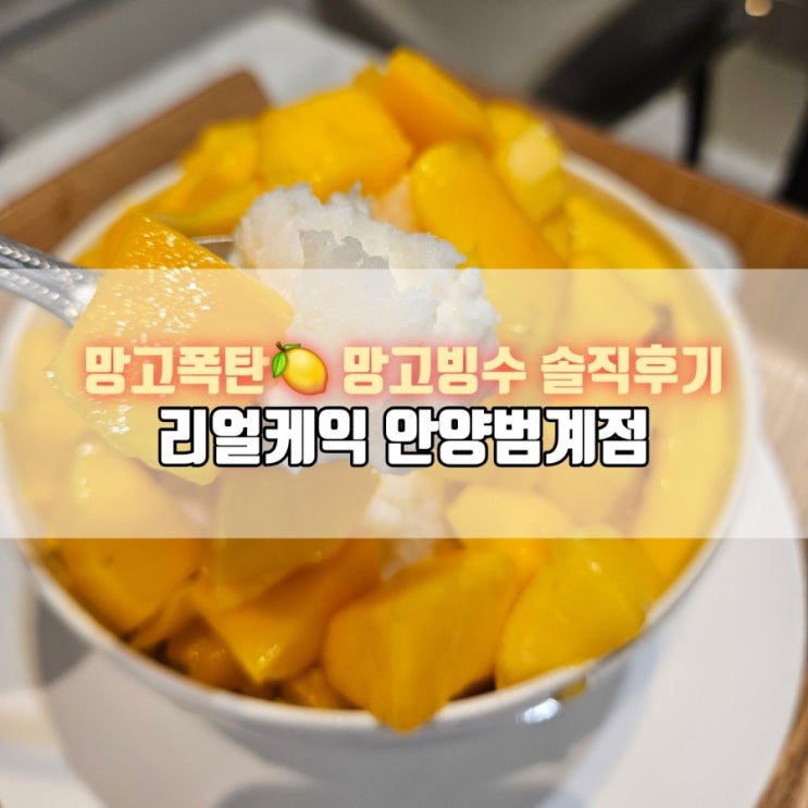  범계 케이크 맛집｜리얼케익 망고빙수&케이크 솔직후기