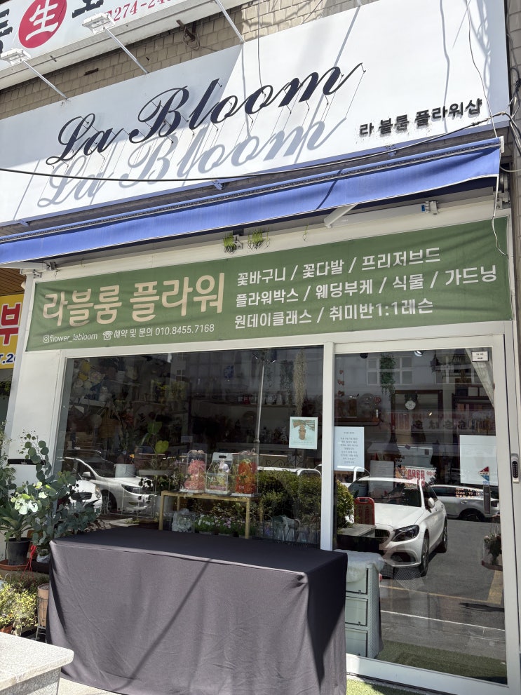  [창원 꽃집] 라블룸