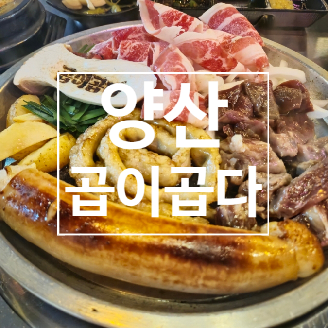  양산맛집 양산곱창 곱이곱다 양산점, 양산술집 추천