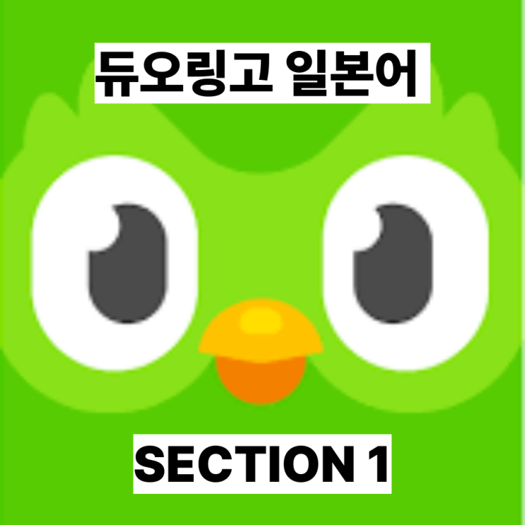  듀오링고 일본어 섹션 1 90일 후기와 유닛 소개