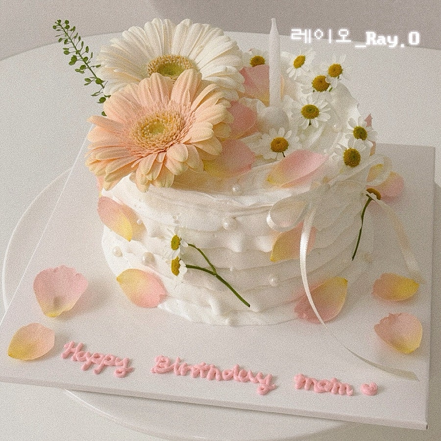 레이오 사진 1