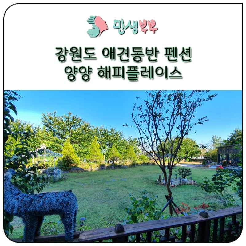 사진 4