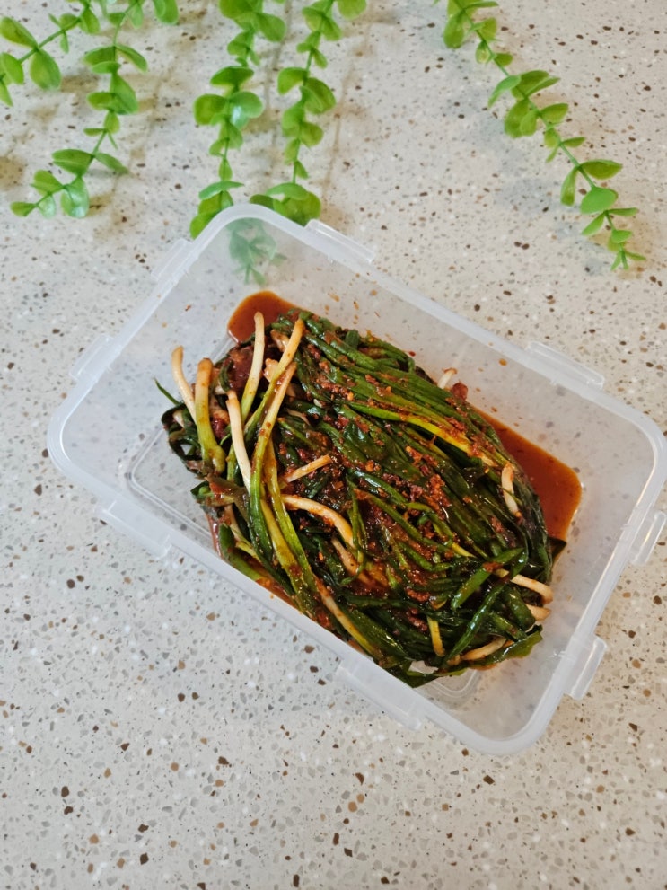  [삼대본가김치 맛있게 매운 국산 파김치] 양념비법으로 감칠맛이 좋은 파김치