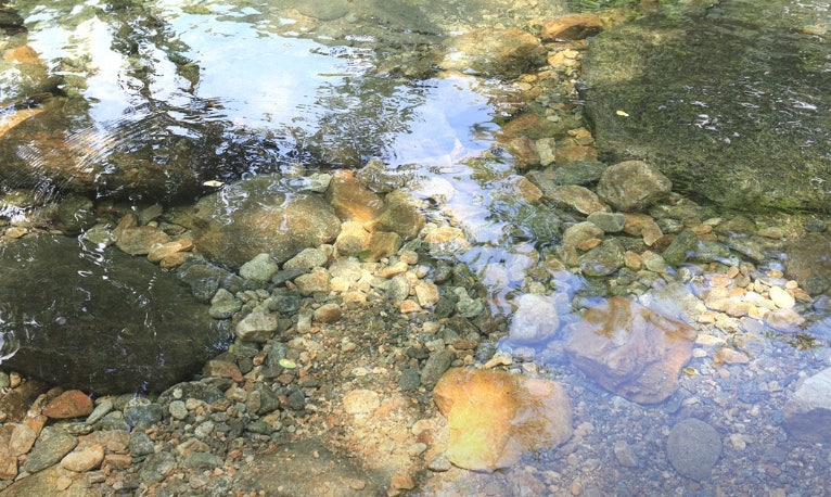 선우산장 사진 5