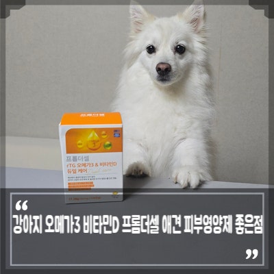 반려견 영양제 강아지 오메가3 비타민D 프롬더셀 애견 피부영양제 좋은점