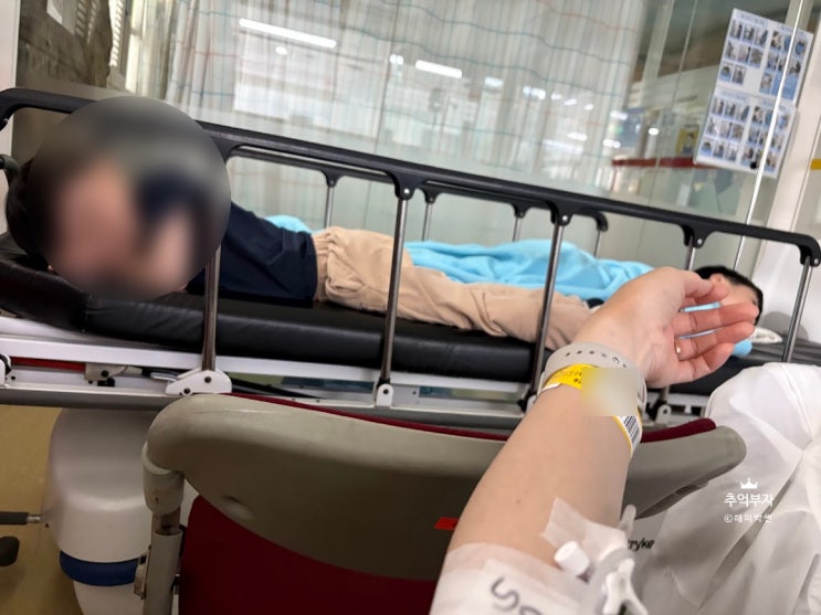  피드메이커 2기 결산 - 여행력으로 성장한 3개월 득과 실