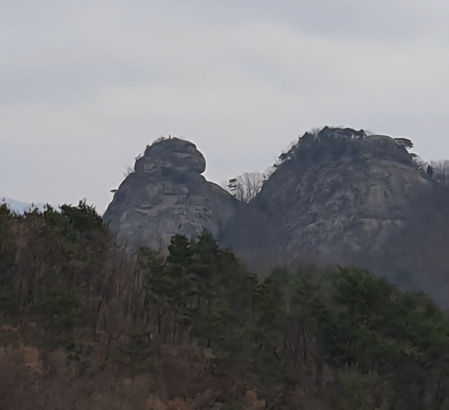 나도산 사진 3
