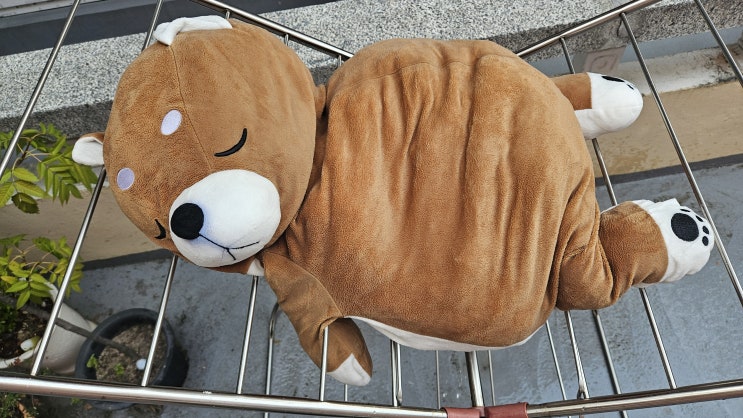  절기론