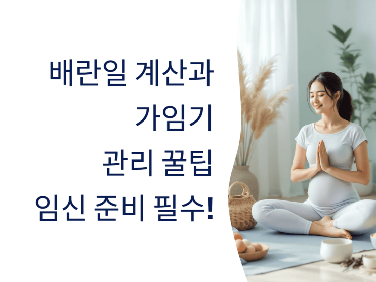  배란일 계산과 가임기 관리 꿀팁, 임신 준비 필수!