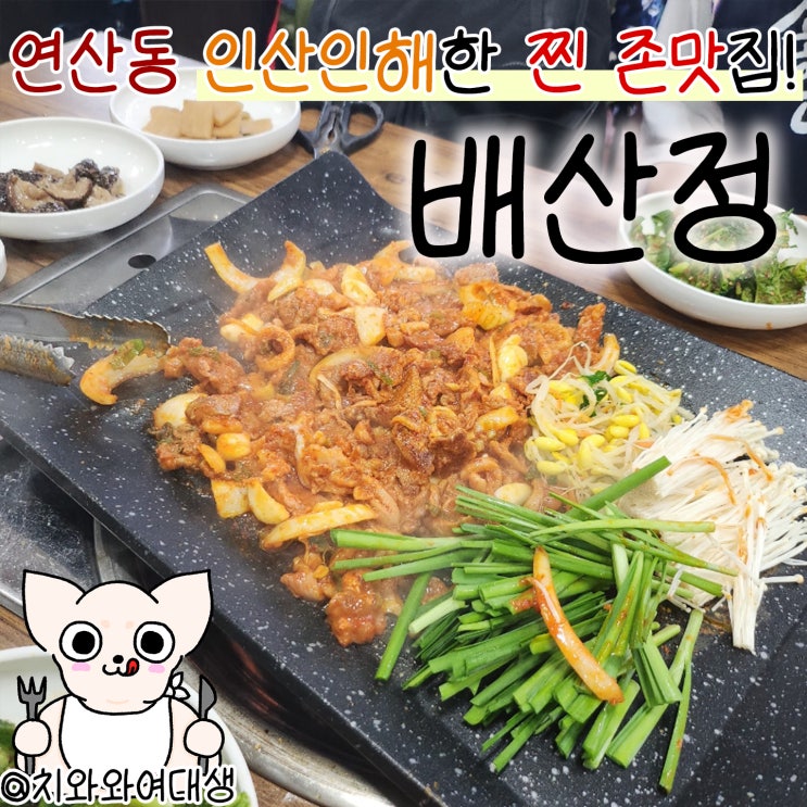  연산동오리불고기맛집 배산정 밥집 추천