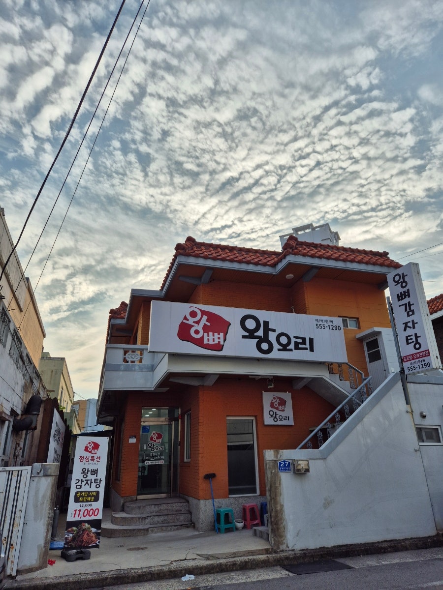 왕뼈왕오리 사진 1