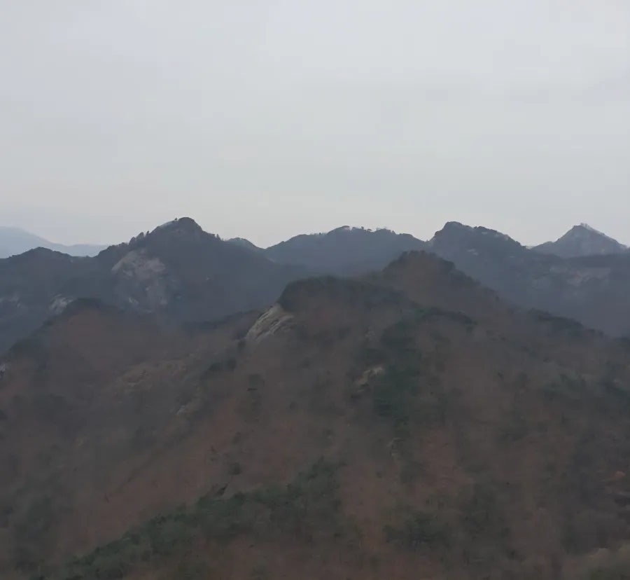 나도산 사진 2