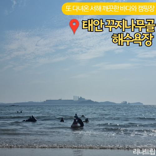  서해 깨끗한 바다 태안 꾸지나무골 굼벵이캠핑장 명당 예약 아이와 후기