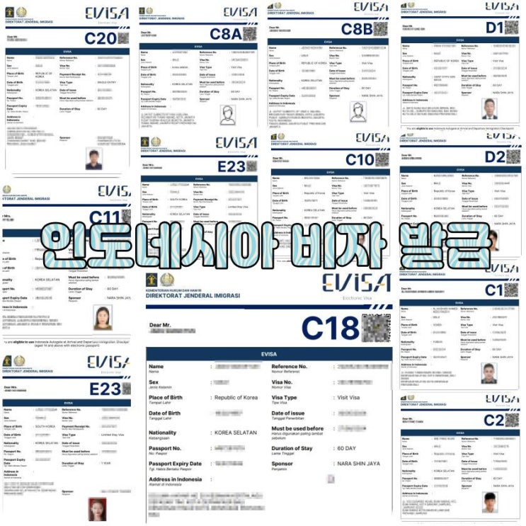  인도네시아 비자 발급대행 사삭투어