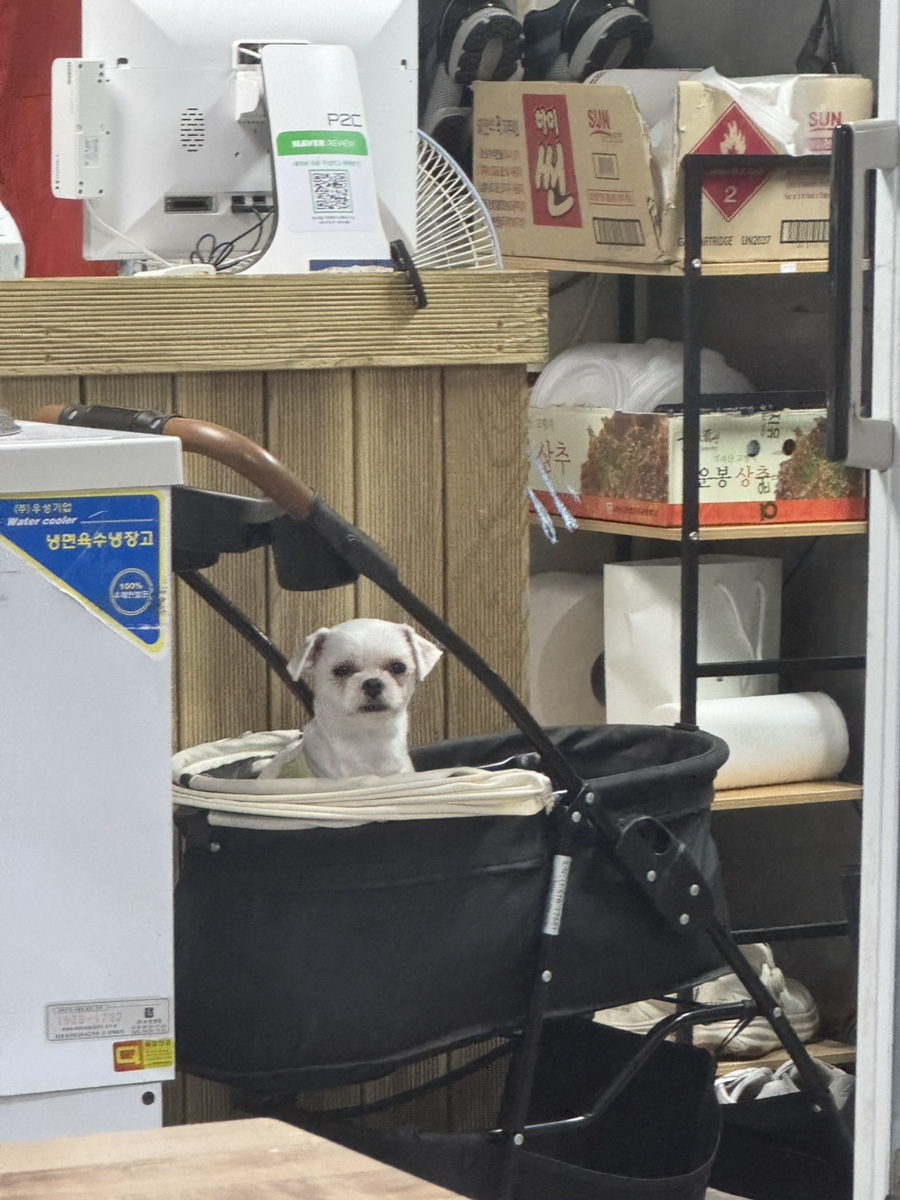 태양횟집 사진 6