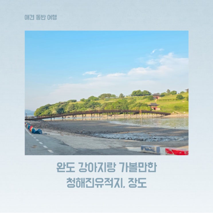 완도 강아지랑 가볼만한 곳 청해진 장보고 유적지 장도