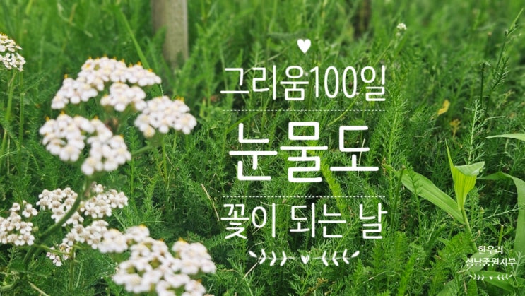  그리움 100일, 눈물도 꽃이 되는 날