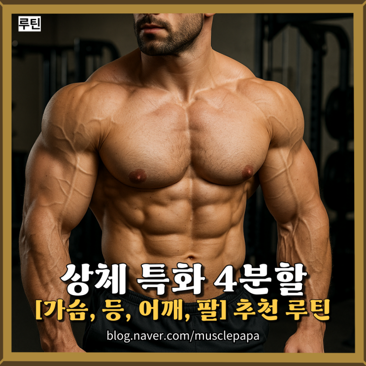  생활체육지도사가 직접 해보고 분석하는 상체 특화 4분할 루틴