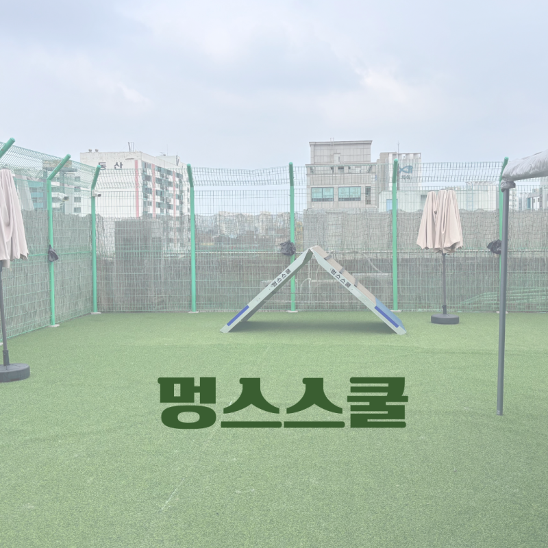 사진 4