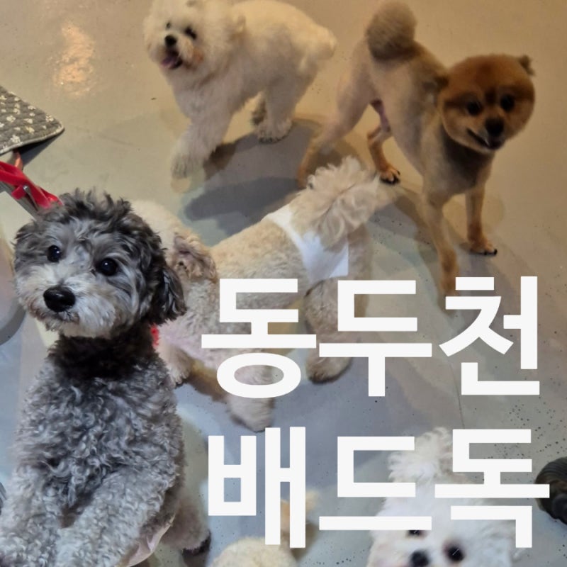 사진 7
