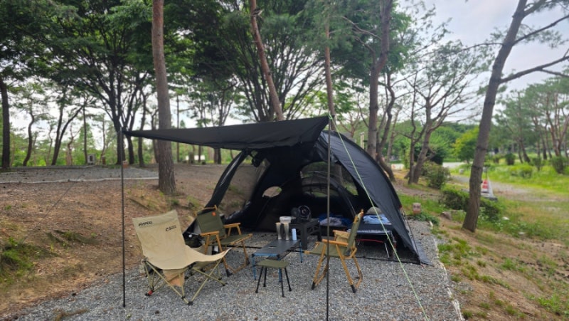 사진 5