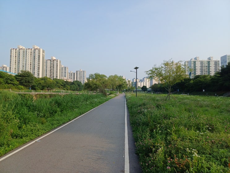  정부 반응속도 무엇? 외국인 강남 쇼핑 잡으러 간다