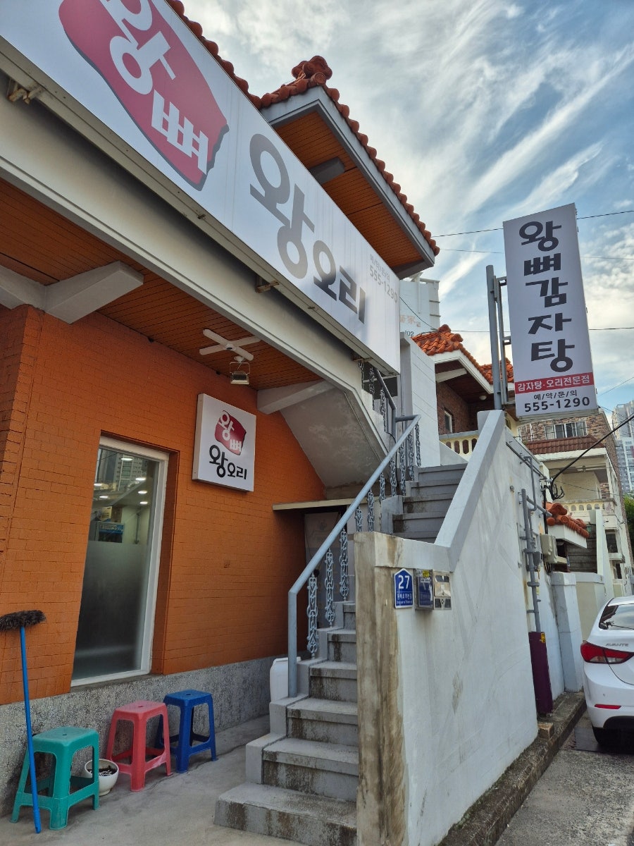 왕뼈왕오리 사진 2